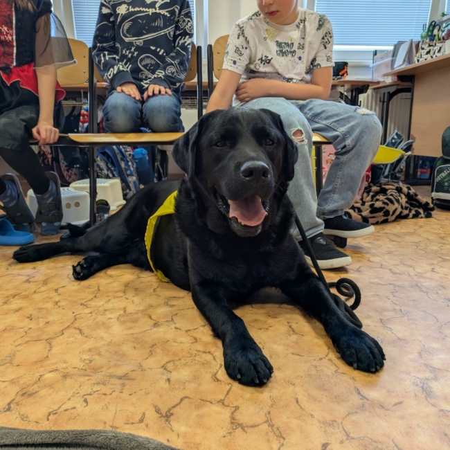 PXL_20251024_080424503