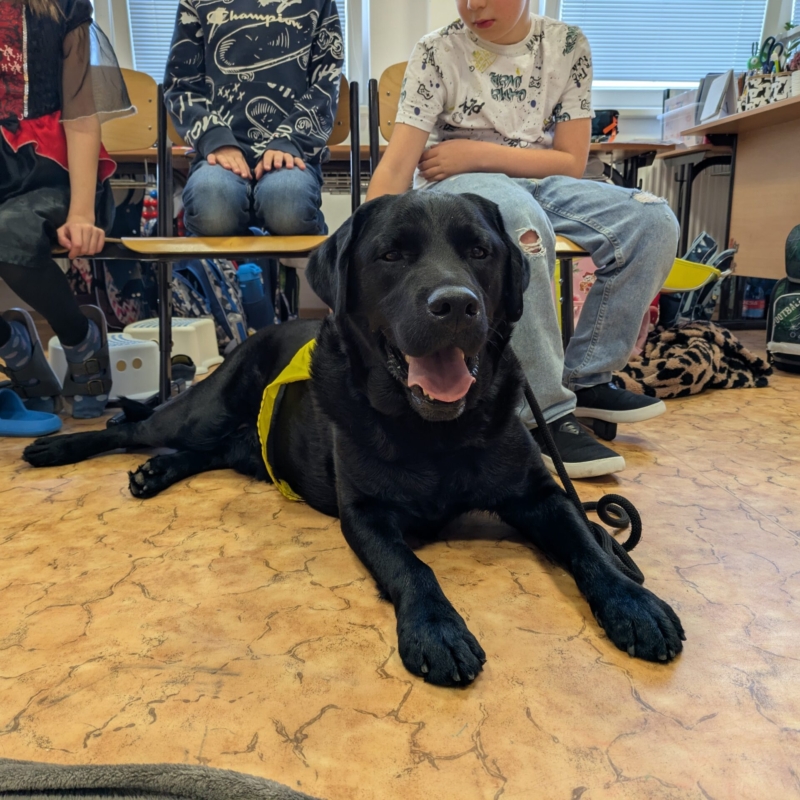 PXL_20251024_080424503