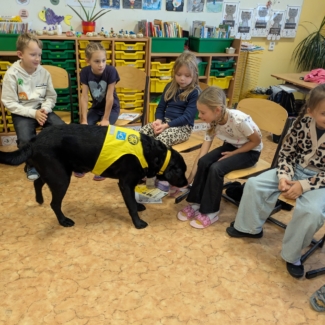 PXL_20251024_090249374.MP