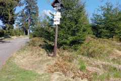 IMG-20250429-WA0037